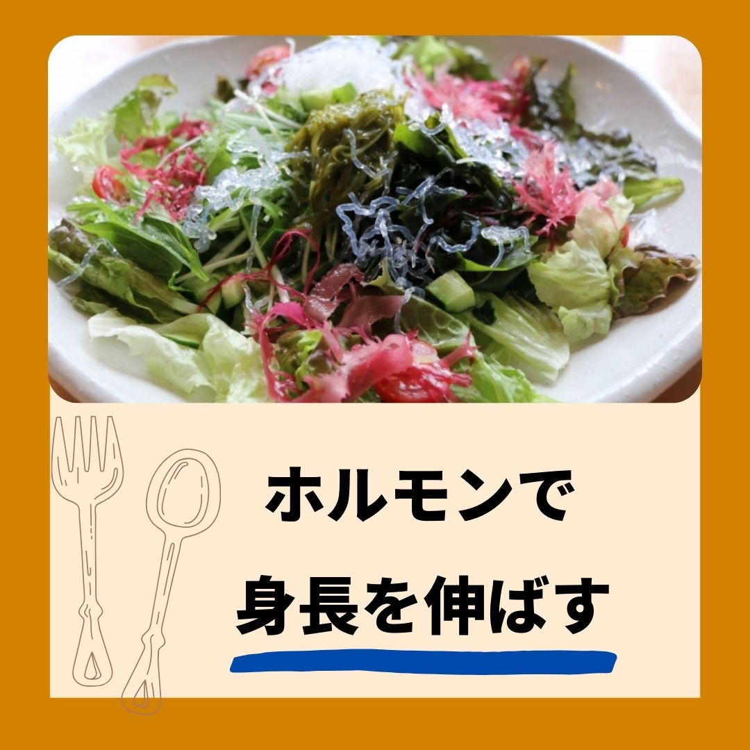 料理画像