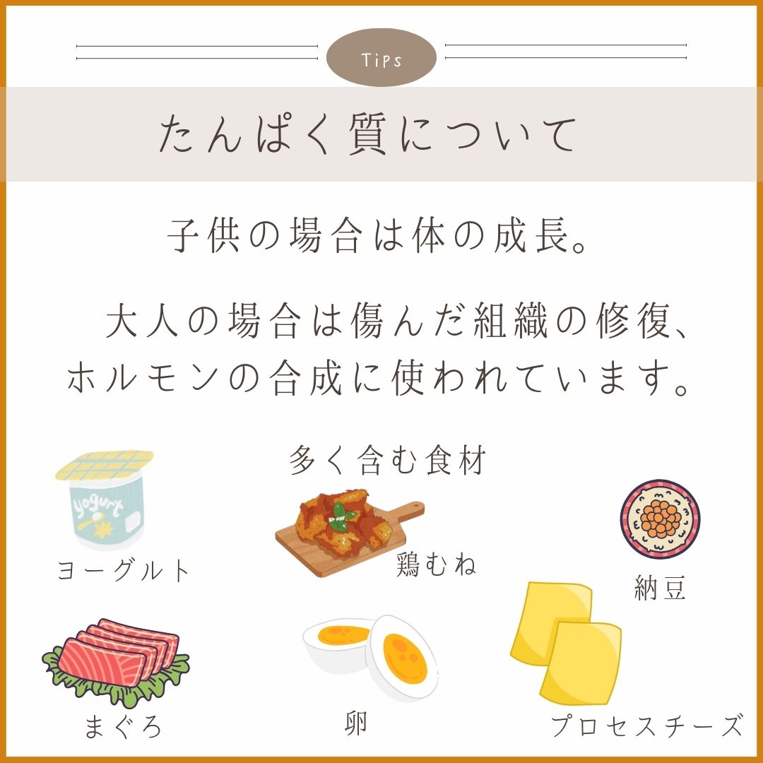 料理画像