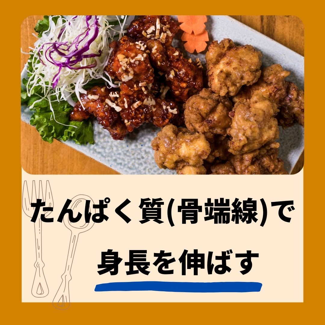 料理画像