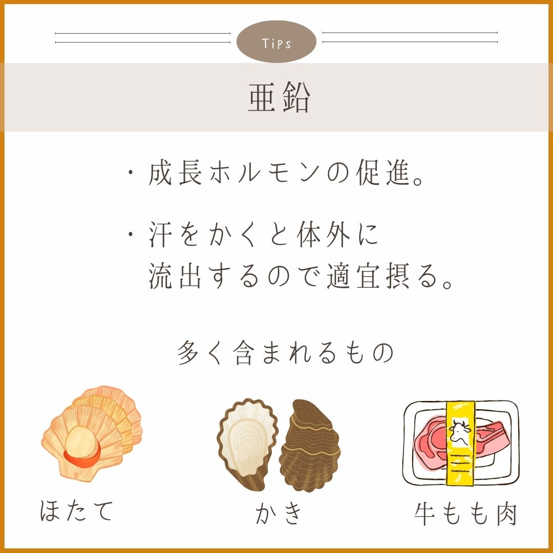 料理画像