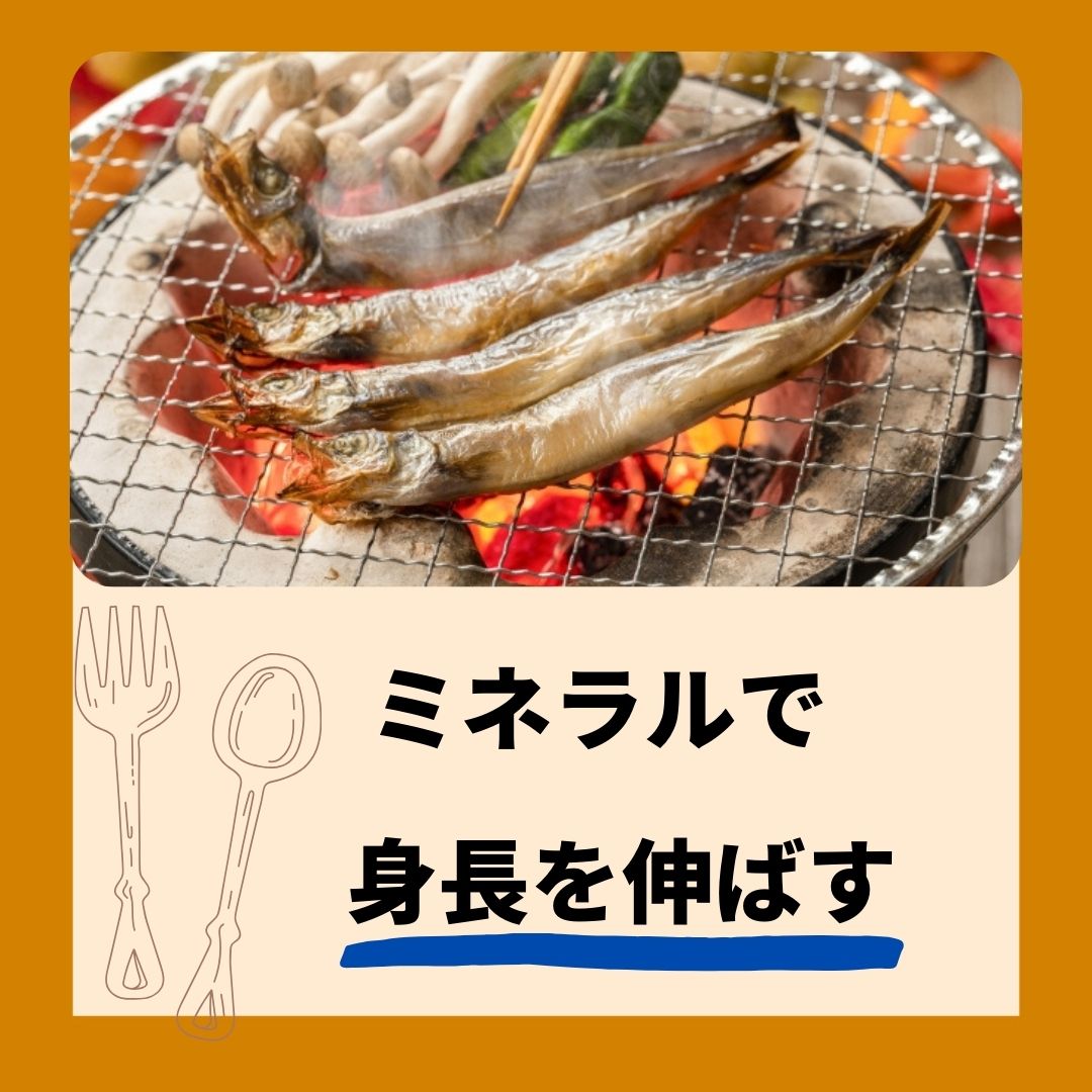 料理画像