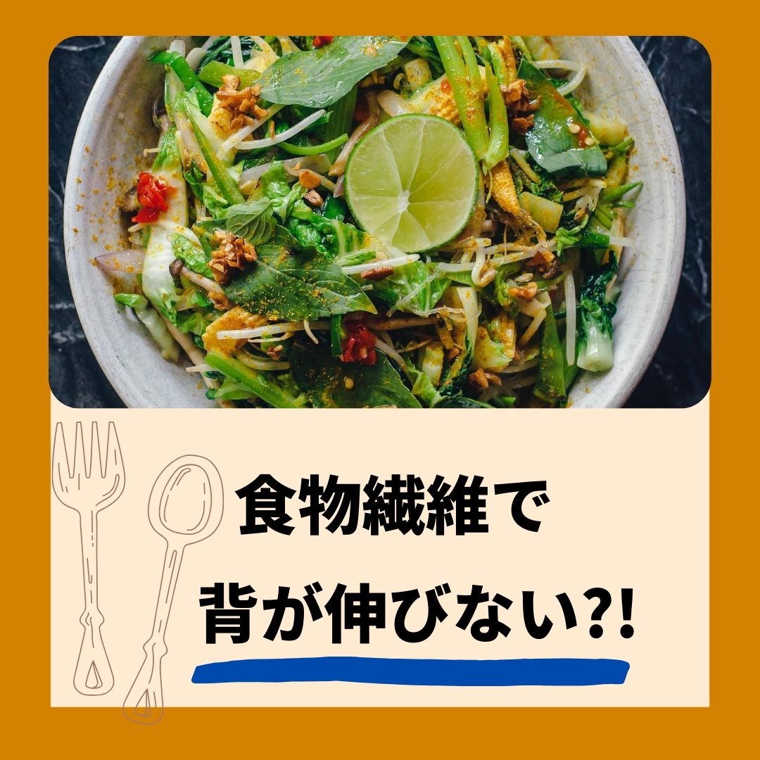 料理画像