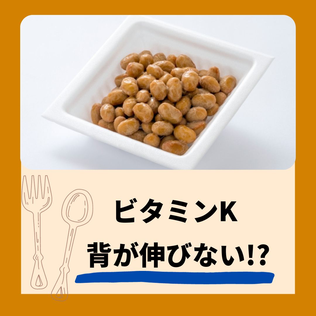 料理画像
