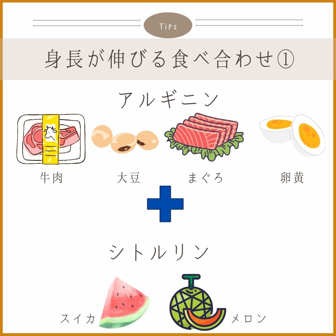 料理画像