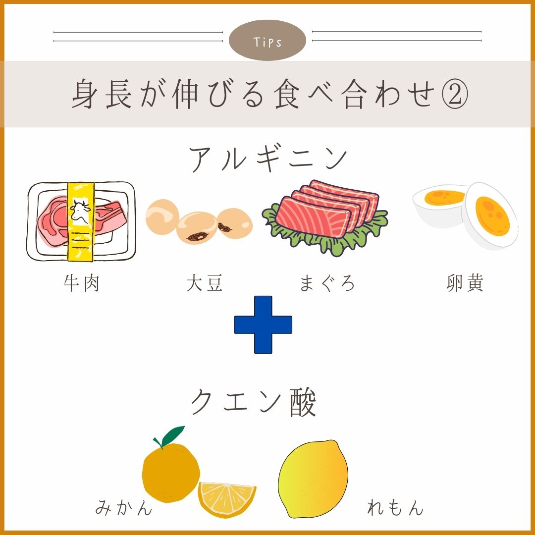 料理画像